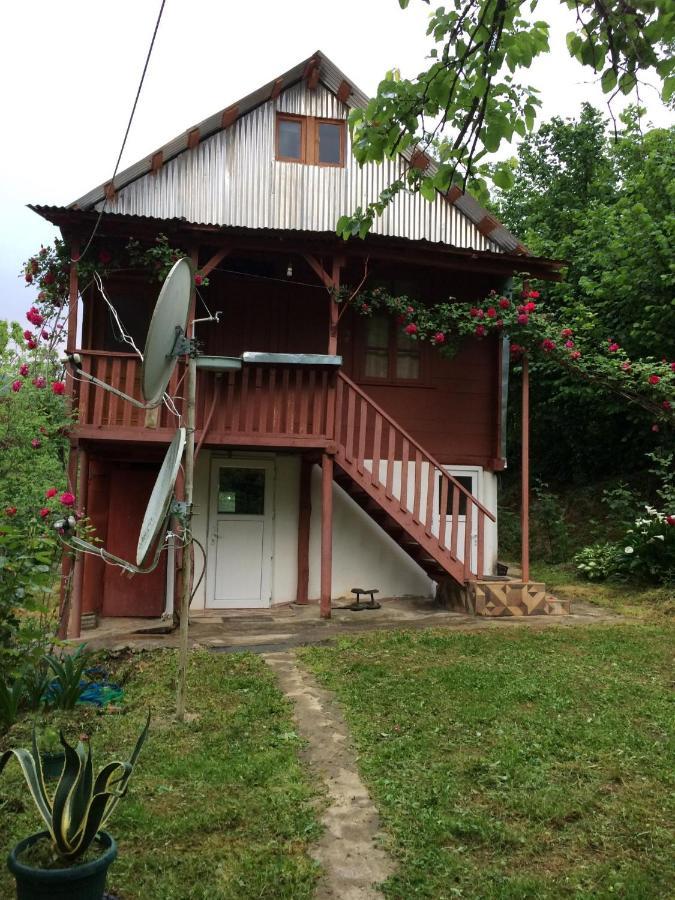 Villa Tengiz Chakvistavi 외부 사진