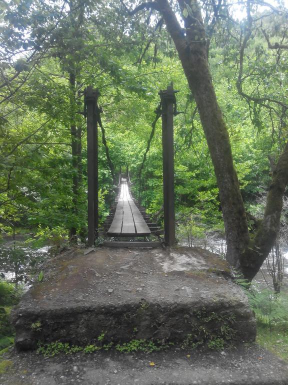 Villa Tengiz Chakvistavi 외부 사진